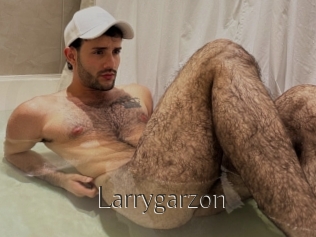 Larrygarzon