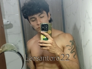 Leosantoro22