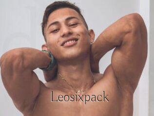 Leosixpack