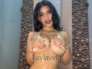 Leylavidal