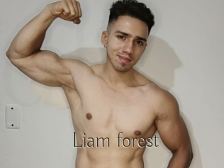 Liam_forest