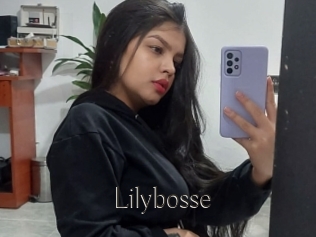 Lilybosse