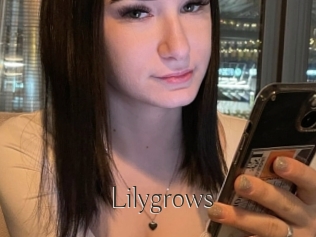 Lilygrows