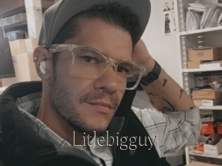 Litlebigguy