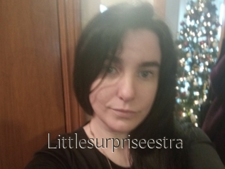Littlesurpriseestra