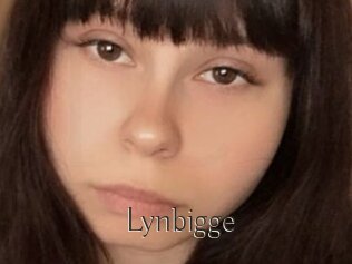 Lynbigge