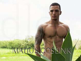 MATIUS_COSLINK