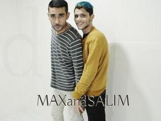 MAXandSALIM