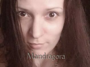 Mandragora