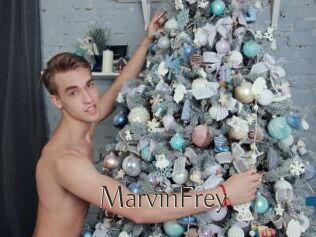 MarvinFrey