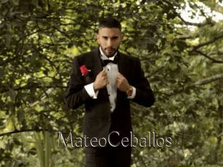MateoCeballos
