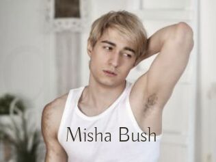 Misha_Bush