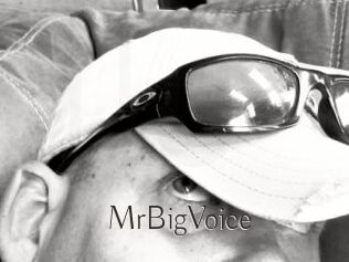 MrBigVoice