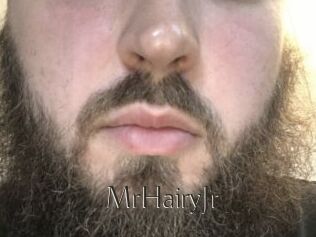 MrHairyJr