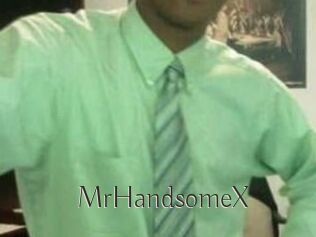 MrHandsomeX