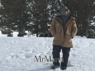 Mr_Mann