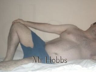 Mr_Hobbs