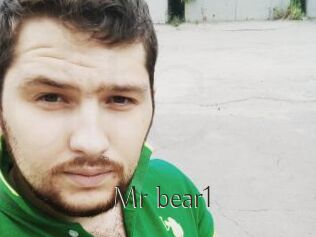 Mr_bear1