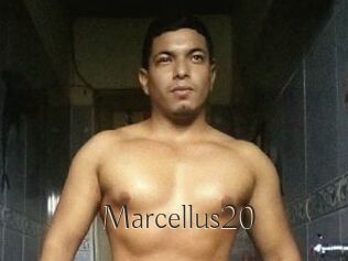 Marcellus20