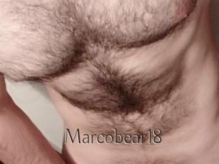 Marcobear18
