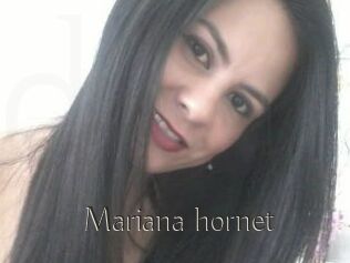 Mariana_hornet