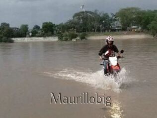 Maurillobig