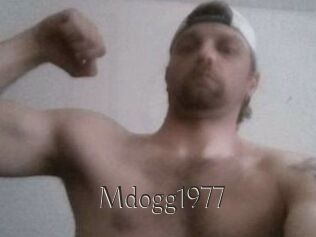 Mdogg1977