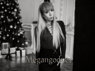 Megangodnes