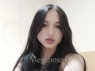 Meganosori