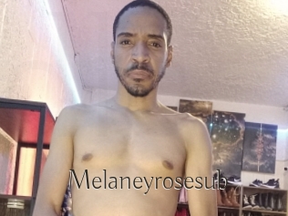 Melaneyrosesub