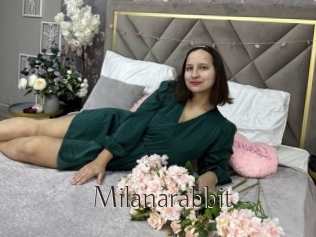 Milanarabbit