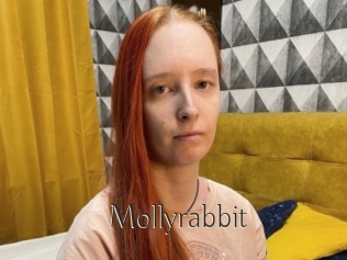 Mollyrabbit
