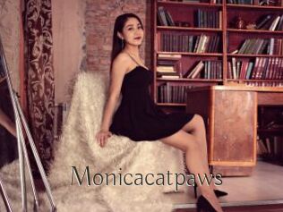 Monicacatpaws