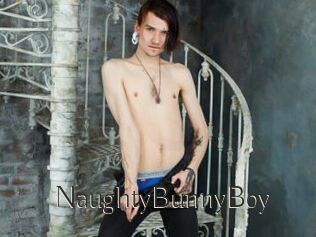NaughtyBunnyBoy