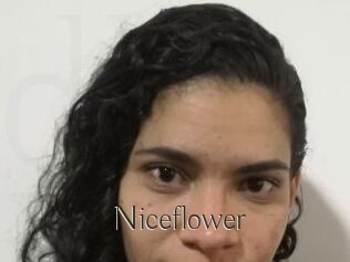 Nice_flower