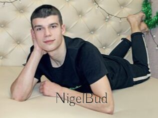 NigelBud