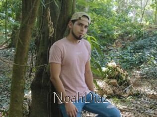 NoahDiaz