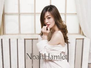NoahHamlet