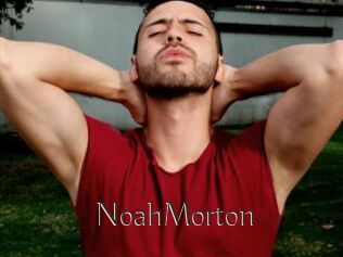NoahMorton