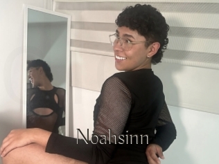 Noahsinn