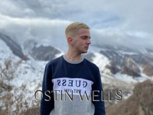 OSTIN_WELLS