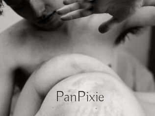 PanPixie