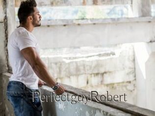 PerfectguyRobert