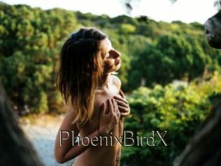 PhoenixBirdX