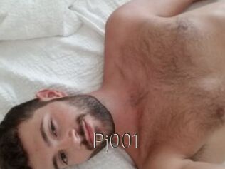 Pj001