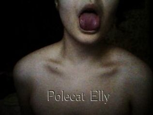 Polecat_Elly