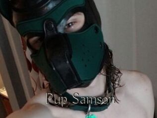 Pup_Samson