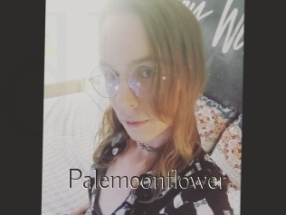 Palemoonflower
