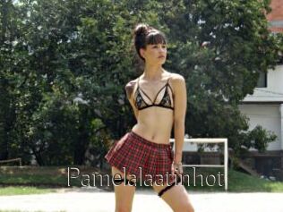 Pamelalaatinhot