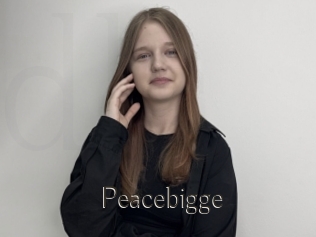 Peacebigge